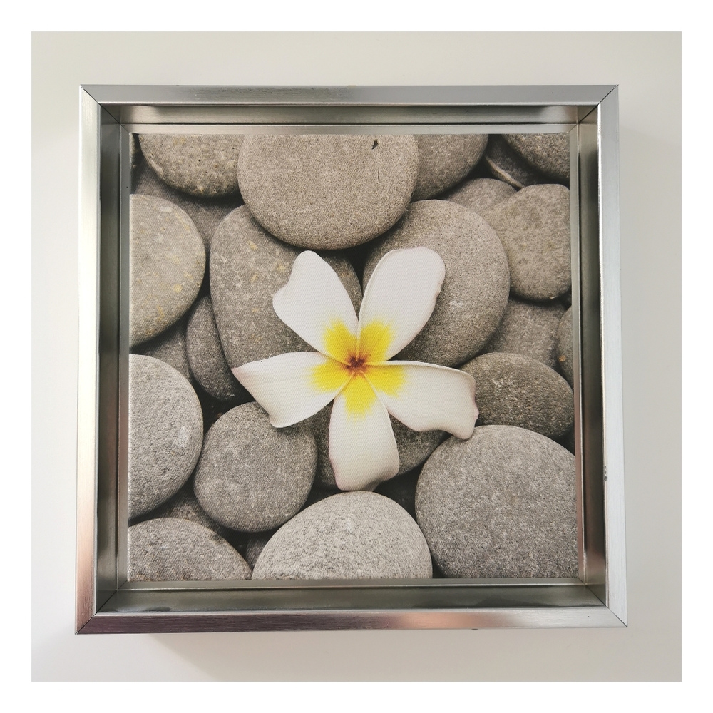 Home Decor Shiny Silver Color Framed Wall Picture